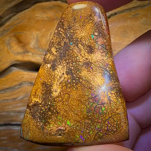 282.5cts - Intricate Tan Tribal Queensland Boulder Opal. Polished Specimen