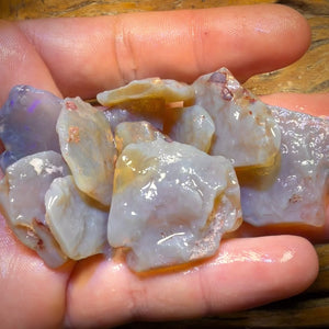 187cts - 11x Lightning Ridge Opal Rough Parcel. Practice Potch