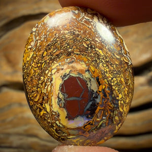 29.7cts - Tribal Queensland Boulder Opal from Yowah