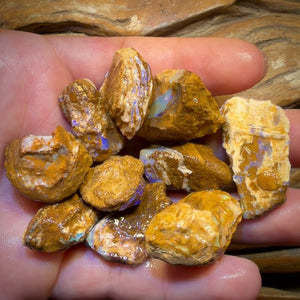 🔒311.5cts - 10x Opalised Wood/Vegetation Fossil Rough Parcel from Yowah