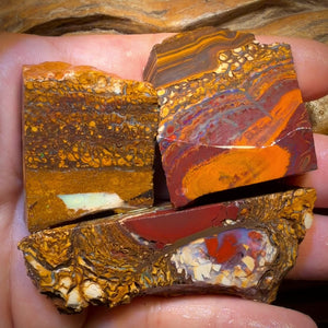 541.7cts - 3x Yowah Nuss Rohopal Paket. Australischer Opal