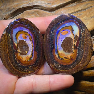 Opalfest Wildcard! 716.4cts - Rare Yowah Nut Crystal Centre Opal Specimen Pair. Polished