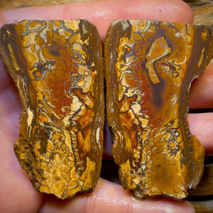 Art of Opal Bargain Card! 343.7cts - Yowah Nut Tribal Opal Rough Specimen Pair