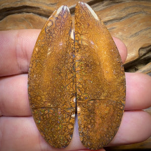 102.7cts - Tan Tribal Queensland Boulder Opal Pair