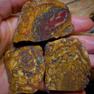 Wild Card! 794cts - 3x Yowah Nut Tribal Opal Rough Parcel. Australian Boulder Opal