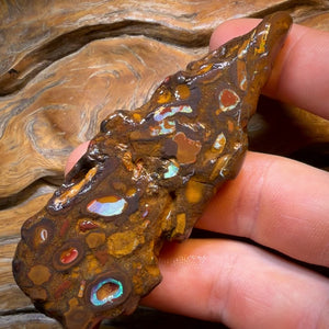 HDW 285.9cts - Yowah Nut Conglomerate Rough Piece. Australian Boulder Opal