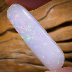 19.5cts - Super Rare Gem Queensland Boulder White Opal from Yowah