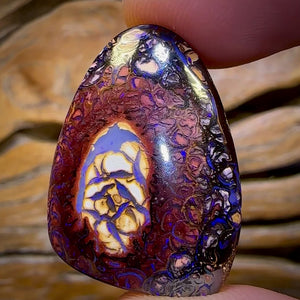 43.1cts - Tribal Queensland Boulder Opal from Yowah