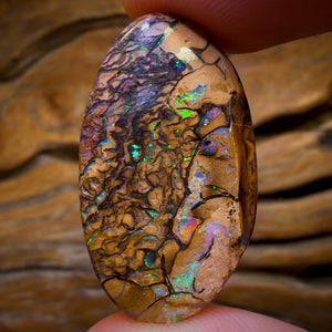 45.7cts - Tribal Australian Boulder Opal from Yowah