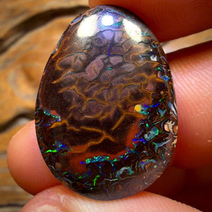 24.5cts - Tribal Queensland Boulder Opal from Koroit