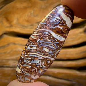 19.1cts - Awesome Tribal Queensland Boulder Opal. Double Sided!