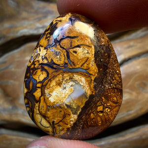OpalFest WildCard! 22.1cts - Tribal Yowah Nut Opal. Australian Opal