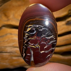 41.6cts - Tribal Australian Boulder Opal from Koroit