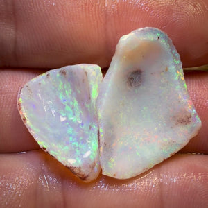 18,2 cts - 2 spécimens bruts géologiques de coquillages opalisés d'Australie du Sud