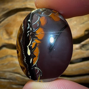 Auction Fall-Through = Your Gain! 🔥 Now More Than 50% Off RRP 🚨 59.3cts - Queensland Boulder Opal from Koroit