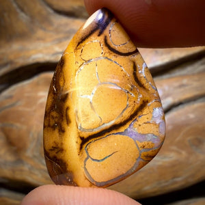 19.1cts - Tribal Yowah Nut Opal. Australian Opal Bargain