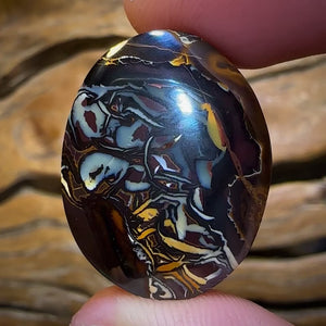 Auction Fall-Through = Your Gain! 🔥 Now More Than 50% Off RRP 🚨 51.8cts - Queensland Boulder Opal from Koroit