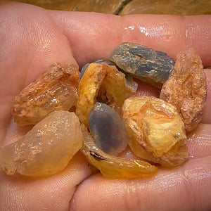 123cts - 9x Opalised Shell Geological Specimens from Lightning Ridge