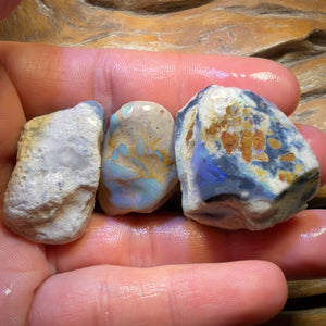 183cts - 3x Lightning Ridge Opal Rough Parcel