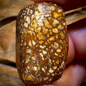 118,6 Karat - Stammes-Yowah-Nuss-Opal Rohstück