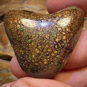 Bargain big boy Card ! 125.3cts - Massive Top Tan Tight Tribal Queensland Boulder Opal from Yowah