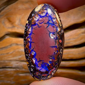 51.8cts - Tribal Queensland Boulder Opal from Yowah