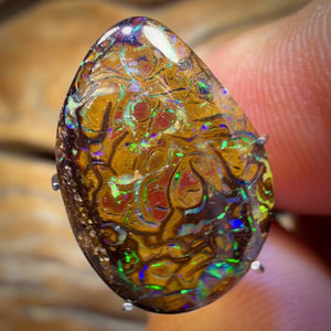 6.3cts - Opale tribale Yowah Nut. Opale boulder australienne
