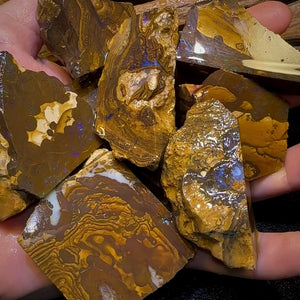 2061cts - 9x Queensland Boulder Rough Opal Parcel Only 0.25c/ct !