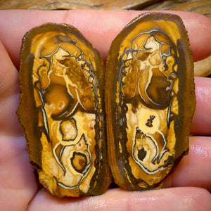 Bargain Card! 150.5cts - Yowah Nut Tribal Opal Rough Specimen Pair