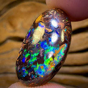 “Set in Stone” - Private Collector Investment - 31.2cts - “Celebrity Stone” TOP GEM Tribal Yowah Nut Opal MULTISIDED! Featured on “Outback Opal Hunters”!