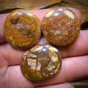 83.1cts - 3x Australian Tribal Boulder Opal’s. Wholesale Dealers Parcel