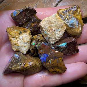 Auction Fall-Through = Your Gain! 🔥 Now More Than 50% Off RRP 🚨 335cts - 8x Opalised Wood/Vegetation Fossil Rough Parcel from Yowah