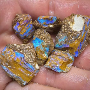 105.4cts - 6x Queensland Boulder Opal. Fossil Wood Replacement