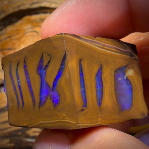 199.2cts - Found whilst Filming for Discovery Channel Duck Creek Boulder Opal Rough Preform