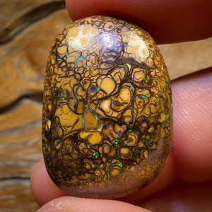 31.7cts - Tan Tribal Queensland Boulder Opal from Yowah