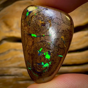 50.6cts - Queensland Boulder Opal from Yowah