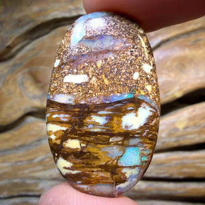 TGIF 26.9cts - “Cathedral Landscspe” Wood Fossil Replacement Boulder Opal from Yowah