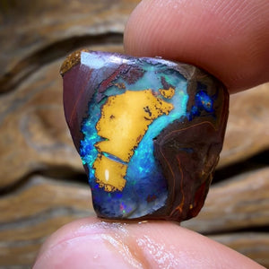 HDW 38.3cts - Partial Yowah Nut Crystal Centre Opal Rough Piece