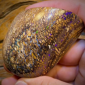 574.5cts - Large Tan Tribal Queensland Boulder Opal. Polished Specimen