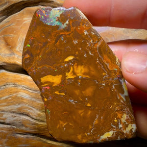 331.3cts - Queensland Boulder Opal Rough Rub from Yowah