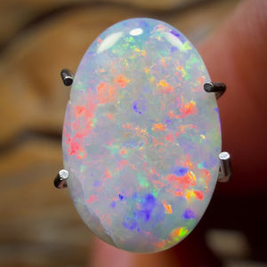 🔨 AUCTION 🔨 No Reserve 1.7cts - Rare South Australian Dark Opal from Mintabie