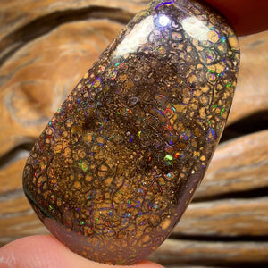 72.7cts - Tan Tribal Yowah Nut Opal. Red Multicolour