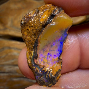 30.4cts - Yowah Nut Crystal Centre Opal Rough Specimen