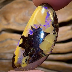 🔨 AUCTION 🔨 No Reserve 15.9cts - Yowah Nut Opal. Australian Boulder Opal