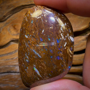 177.1cts - Queensland Boulder Opal from Yowah