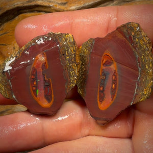 🔨 AUCTION 🔨 221.6cts - Yowah Nut Crystal Centre Rough Specimen Pair