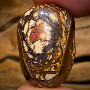 Auction Fall-Through = Your Gain! 🔥 Now More Than 50% Off RRP 🚨 24 x 17mm - Drilled Tribal Queensland Boulder Opal Bead VERY LIMITED