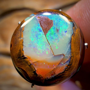 🔨 AUCTION 🔨 Reserve 💎 High Roller Banger Auction 💎 7.8cts - Yowah Nut Kernel Opal. Australian Boulder Opal