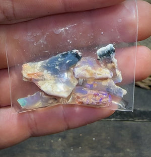 Australian 24cts - Lightning Ridge, Fossil Rough Opal Specimen