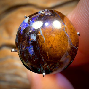 🔨 AUCTION 🔨 No Reserve 6.7cts - Queensland Boulder Opal from Yowah